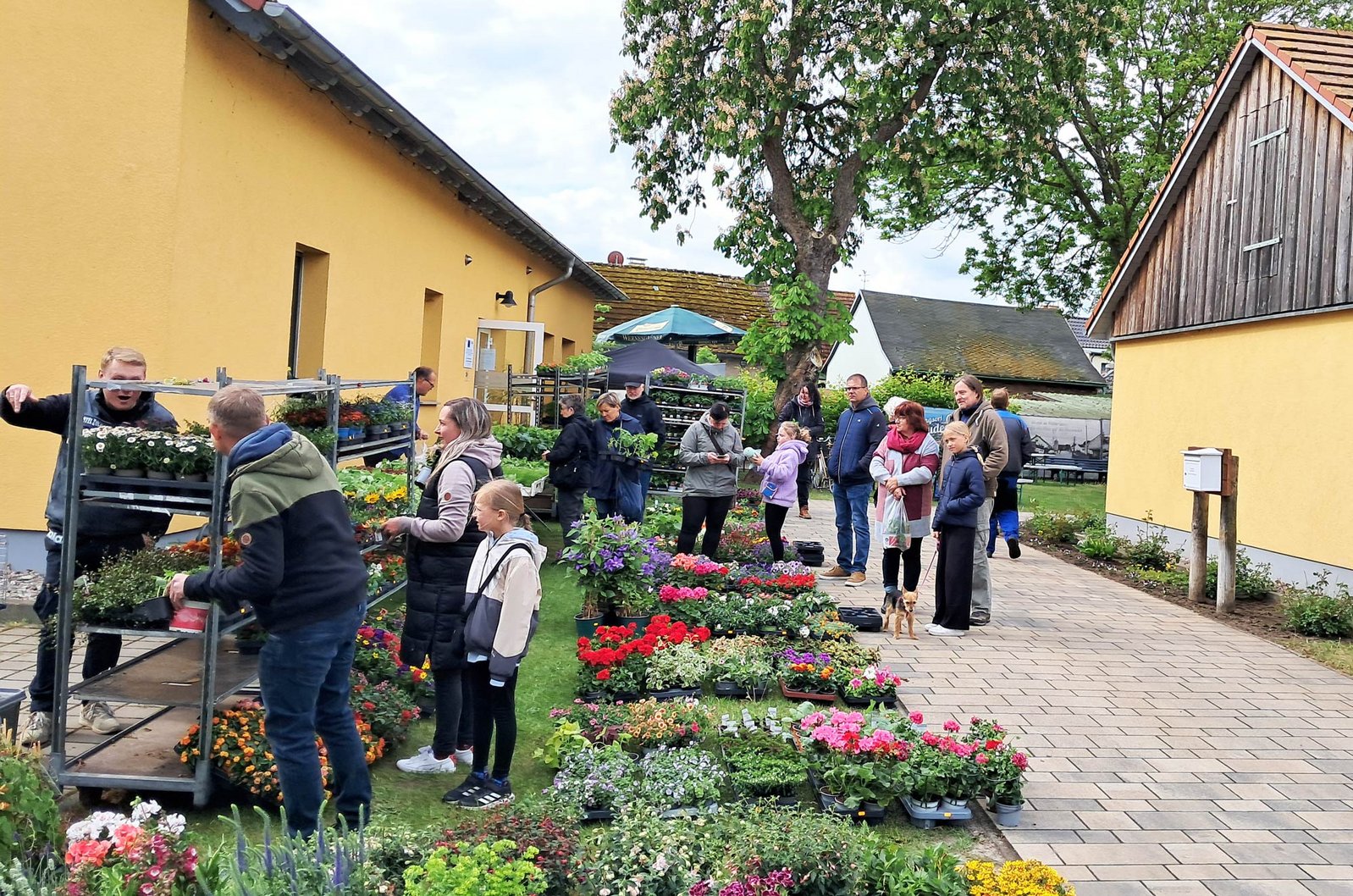 zeigt Pflanzenmarkt